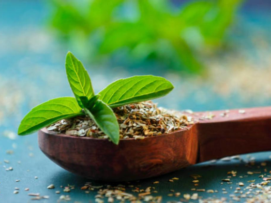 Mitra Ayurvedic Center
