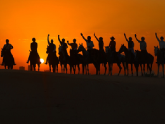 Al Ali Stables