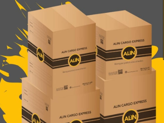 Alin Cargo Express