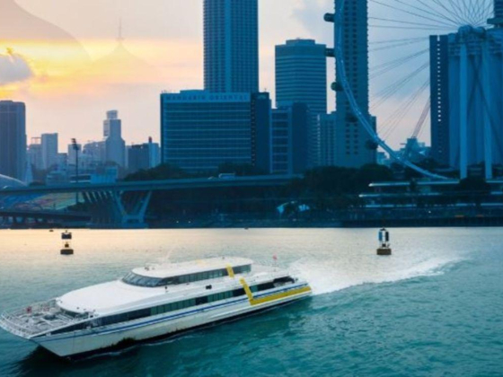 Hello Boat Tours