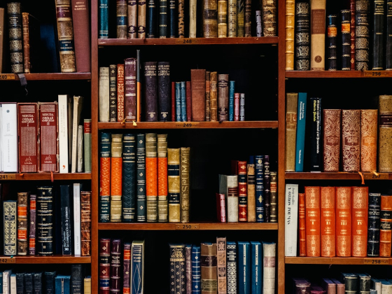 Libraries Near Me in Dubai: Where to Actually Get a Seat, a Book or a Study Room