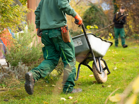 Landscaping in Dubai: What It Costs, Who's Licensed, and What Actually Survives the Summer