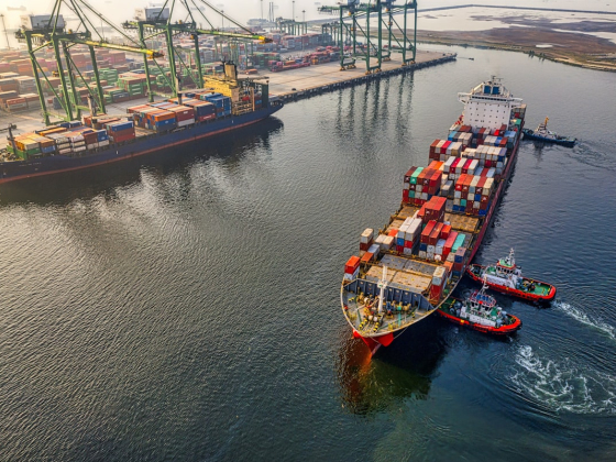 Dubai's Ports Explained: Jebel Ali, Port Rashid and How to Actually Get Cargo Through Them