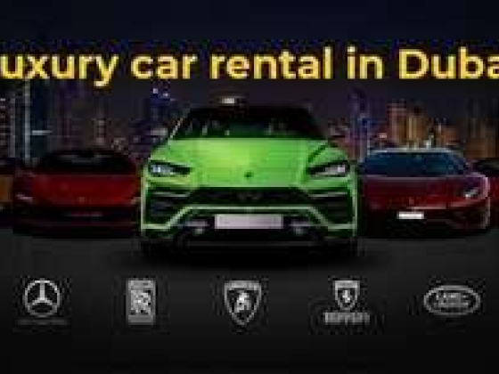 Di Marca Rental Car