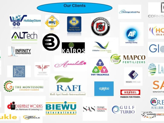 Salim Al Siyabi Chartered Accountants & Audiitors