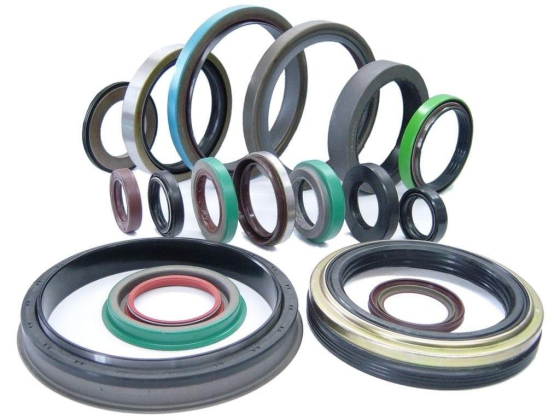 Quality Plus Auto Spare Parts Trading