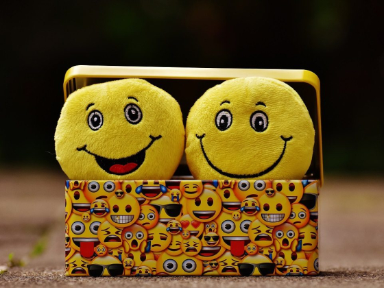Understanding Emotional Intelligence