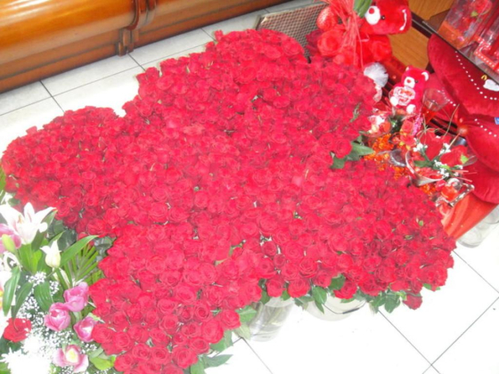 Rose King Flower Trading
