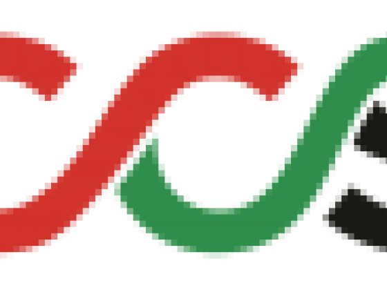 Cosmo Pro Corporate Service