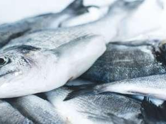 Jassim Khalifa Al Towila Fish Stall