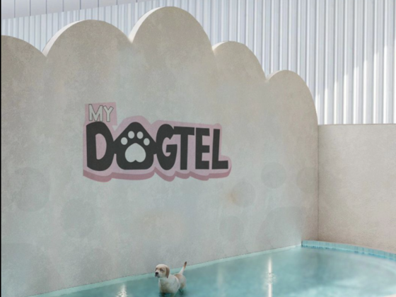 My Dogtel