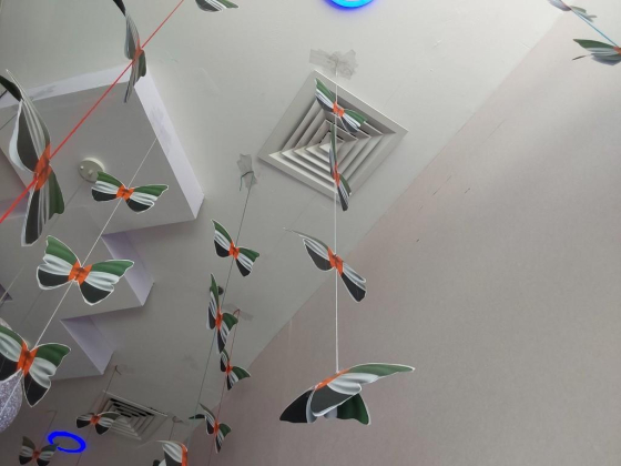 Al Masa Al Zarqa Kids Amusement