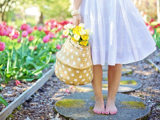 Gardening Tips for That Dream Garden