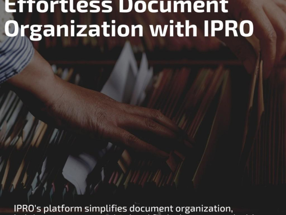 Ipro Business Entities Management Services