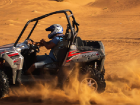 Sky Seekers Travel & Tourism
