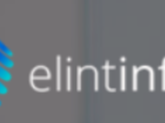 Elint Infotech