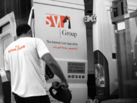 Sv Companies