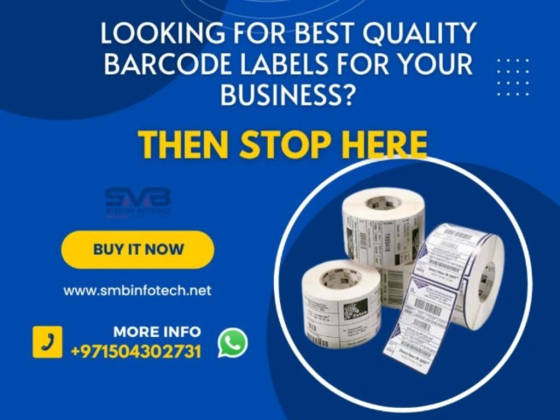 SMB INFOTECH LLC