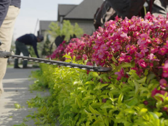 Algebra Landscaping
