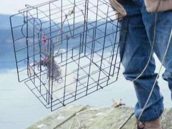 Abdulla Said Ibrahim  Fishing Cages Manufacturing