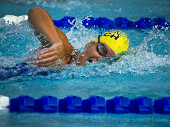 Swim Us Training Services