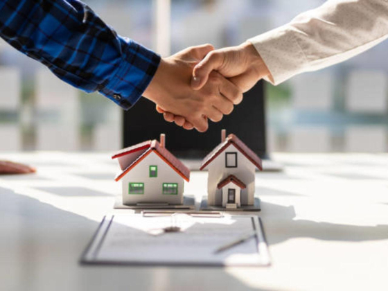 Tribulus Properties