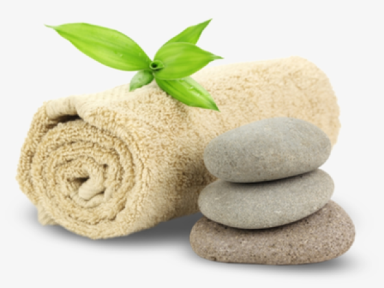 Aroma Mist Spa