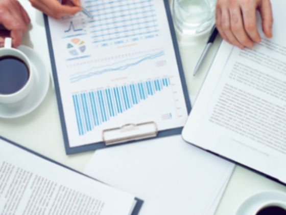 Zersa ​management System Consultancy