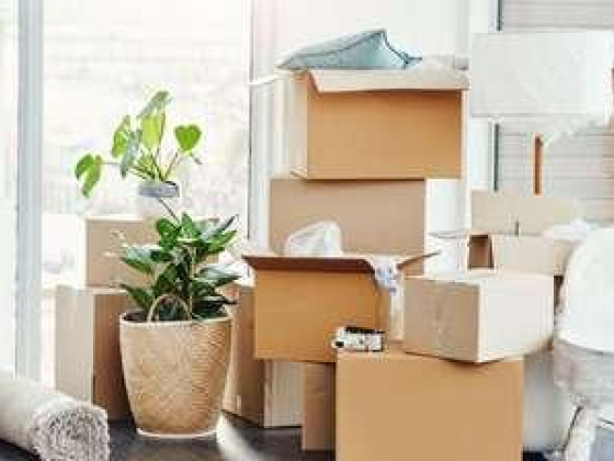 Picksfords Cargo Packaging