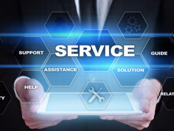 Moveup Consultancy