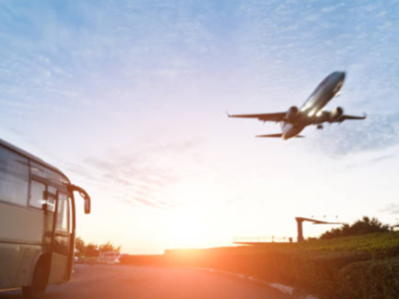 Al Amen Travel And Tourism