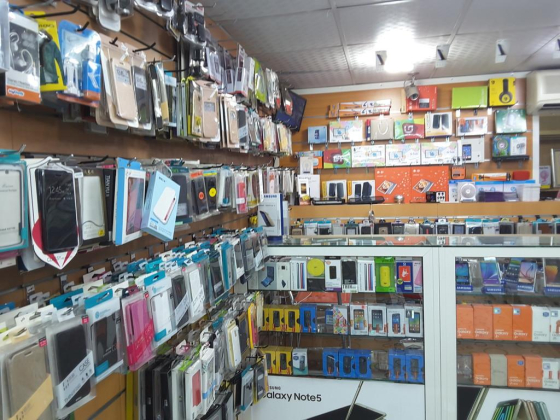Sea Shell Electronics