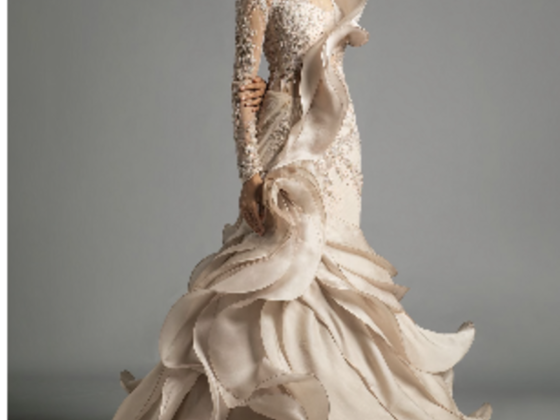 Betsa Amiri Fashion Designing