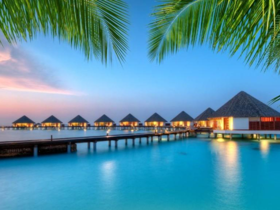 Anisha Travel & Tourism
