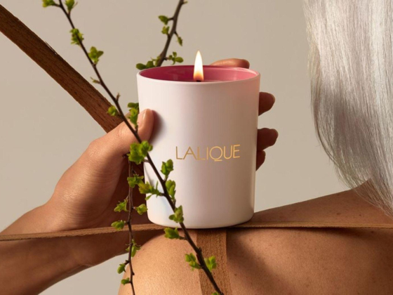Lalique Tamer Beauty Trading