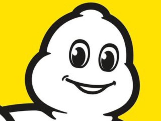 Michelin Aim