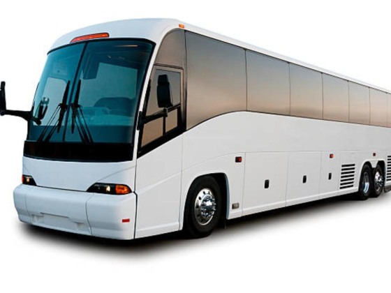 Blue Line Passenger Transport By Rented Buses