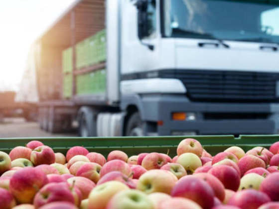 Seyed Jamal Yousefi Food & Beverages Trading