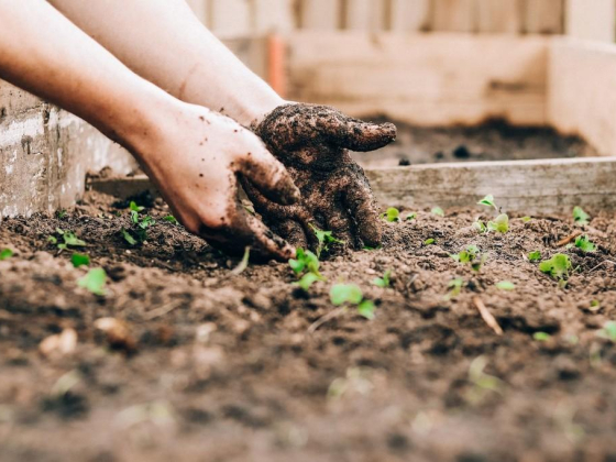 Aqar Landscape Services