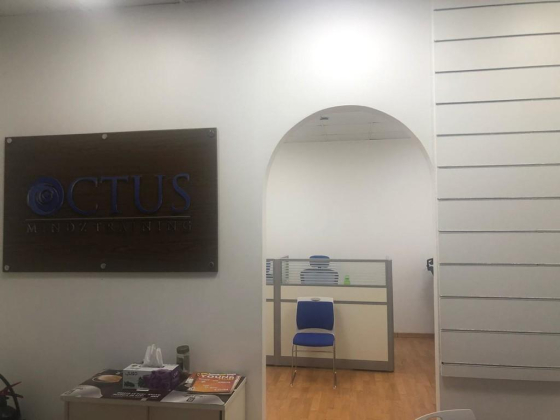 Octus Mindz Training
