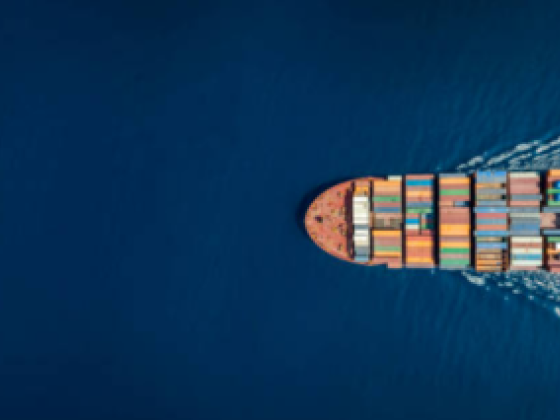 Sea King Express Shipping & Clearing