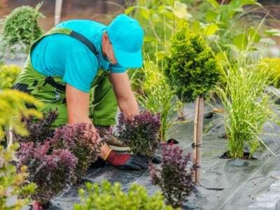 Swat Garden Landscape & Gardening Works & Maintenance