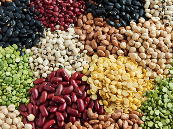 Seeds Global
