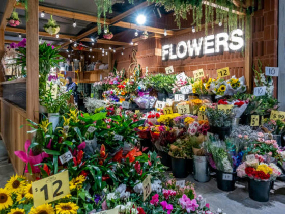 Evergreen Flowers & Plants
