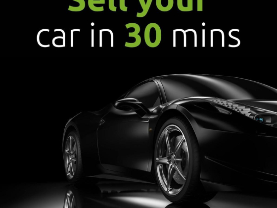 Sellanycar.com