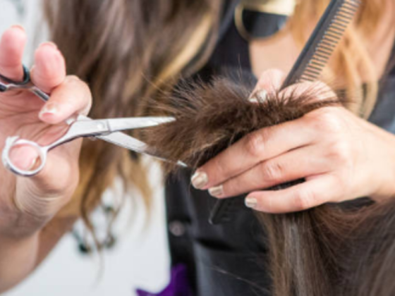 Blush On Ladies  Salon