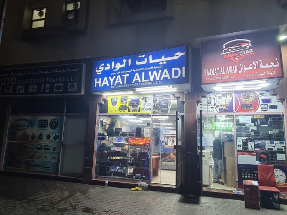 Hayat Alwadi Auto Accessories Trading