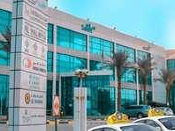Al Yalayis Government Transactions Center