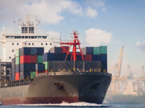 Experts Shipping Services