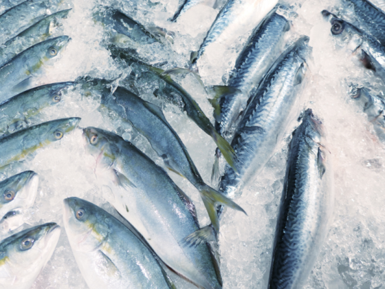 Obaid Al Mansoori Fish Stall